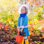 Fall Gardening Prepares Our Yards for Spring